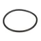 Globe 840025 O-Ring