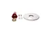 Rational 87.00.561 Gasket Kit, Motor