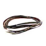 True 944849 WIRE HARNESS, GDM-35 230V 50HZ GDM-49 230V 50HZ