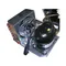 True 954975 Compressor - 115V