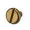 Blakeslee 97669 Screw