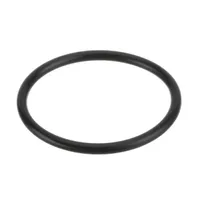 996020 Salvajor