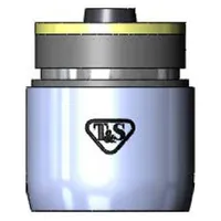 B-0199-03-F12 T&S Brass