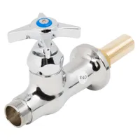 B-0305-LN-175F T&S Brass