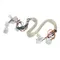 Pitco® B6788101 Wiring,Spinal Tap Sspg