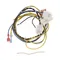 Pitco B6796101 Rethermalizer Ctrl To Rly Wr Hrns