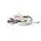 Pitco B6796301 Wiring Harness