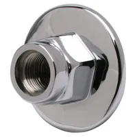BL-4250-06 T&S Brass