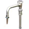 T&S BL-5560-03 Laboratory Swing Nozzle with Serrated Tip, Vacuum Breaker, and Swing Piece