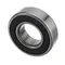 Globe CC1231 Bearing