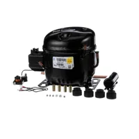 CMP1401 Randell