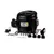 CMP1401 Randell