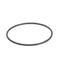 Insinger D2-570 Spray Pipe O-Ring