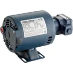 Robertshaw Industries F10205 Pump and Motor Assembly - 115/220V