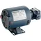 Robertshaw Industries F10205 Pump and Motor Assembly - 115/220V