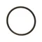 Cleveland FA05002-25 O-Ring; Viton (A-226)