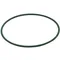 Carpigiani IC531501024 Belt Volta RPN-6 D. 6 X 604