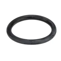 IC541000153 Carpigiani