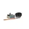 Carpigiani IC582100168 Thermostat