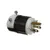 PLG5278 Randell