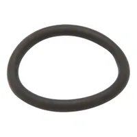 PP10879 Pitco