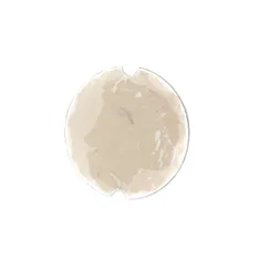 Blodgett R3462 Viewpt,Mica
