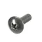 Vulcan SC-117-73 Screw