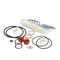 Carpigiani US193-024876 Tune Up Kit Minor Uf253/203P