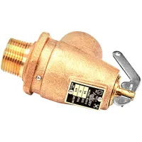 Valve,Safety,3/4""M Crown Steam
