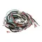 Wilbur Curtis WC-13467 Harness, Assembly Complete