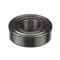 Globe X10012 Ball Bearing