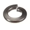 Groen Z005472 Nut