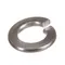 Groen Z005656 Lock Washer 5/16