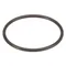 Groen Z005887 O-Ring