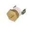 Groen Z074529 Thermostat