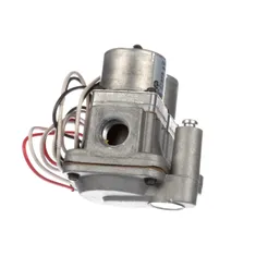 Groen Z079801 Valve Gas Control