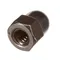 Groen Z090567 Nut, Acorn