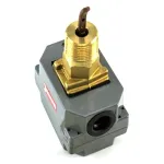 300# DWP Flow Switch For York Part# 024-12144-000