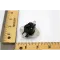 Blocked Vent Switch M/R 250F For Sterling HVAC Part# 11J11R02833-003