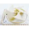 Blwr Fan;Outdoor Propeller Kit For Daikin-McQuay Part# 300040590