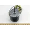1/12HP 1 PH MOTOR For Carrier Part# HC32GE200