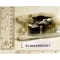 Heat Relay For York Part# S1-024-19082-017