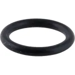 TS-4 T&S Brass - Old Style Rubber Ring for Spray Valve