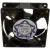 VT50870101 Victory