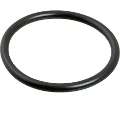 Sloan O Ring For Tail Piece for Sloan Part# 308512