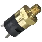 Pressure Switch  for Groen Part# -96963