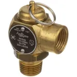 Safety Valve1/2"M X 1/2"F for Vulcan Hart Part# 855968-1