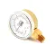 Pressure Gauge, Dual  for Groen Part# 008345