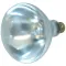Infra-red Lamp (clear) for Hatco Part# 02.30.069.00