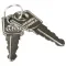 Keys (pair) for Turbo Air Part# 3000000002